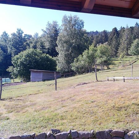 Le Bucheron au cœur du massif des Vosges 3 étoiles Gérardmer Extérieur photo
