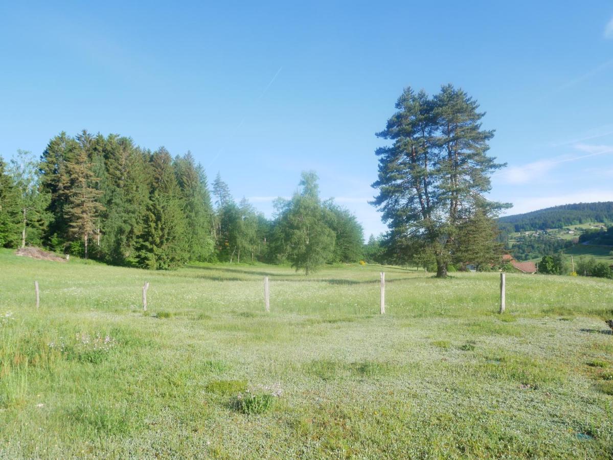 Le Bucheron au cœur du massif des Vosges 3 étoiles Gérardmer Extérieur photo